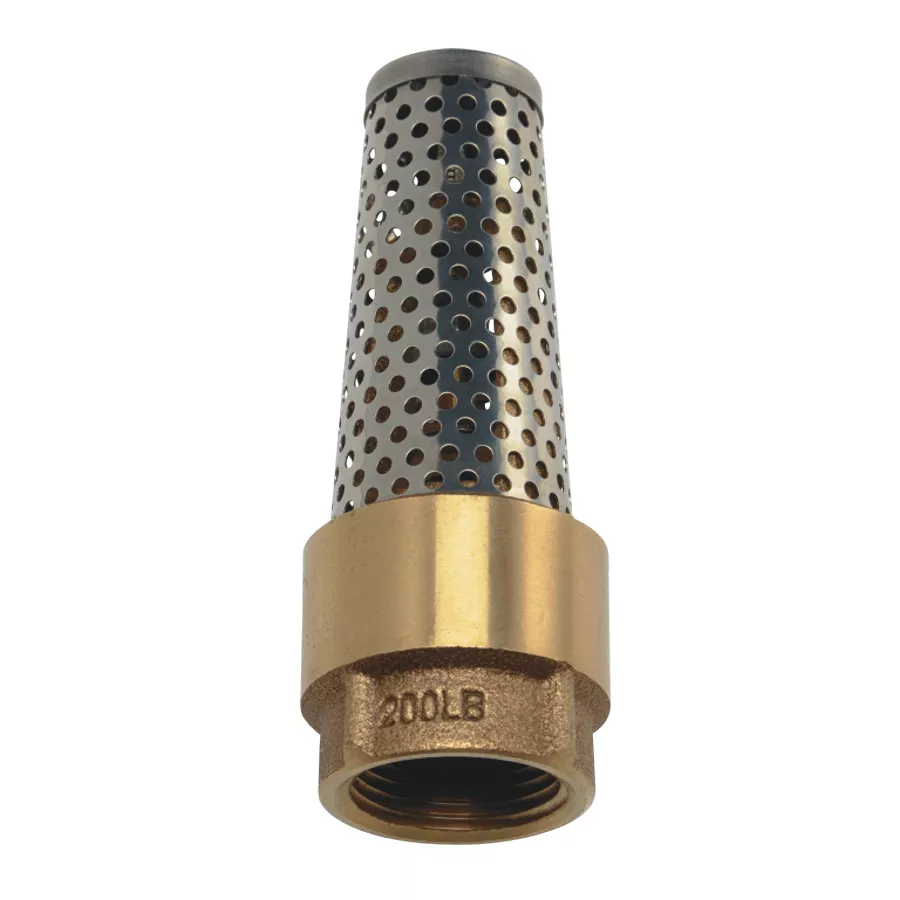 3/4" Foot Valve - Brass & Stainless Steel