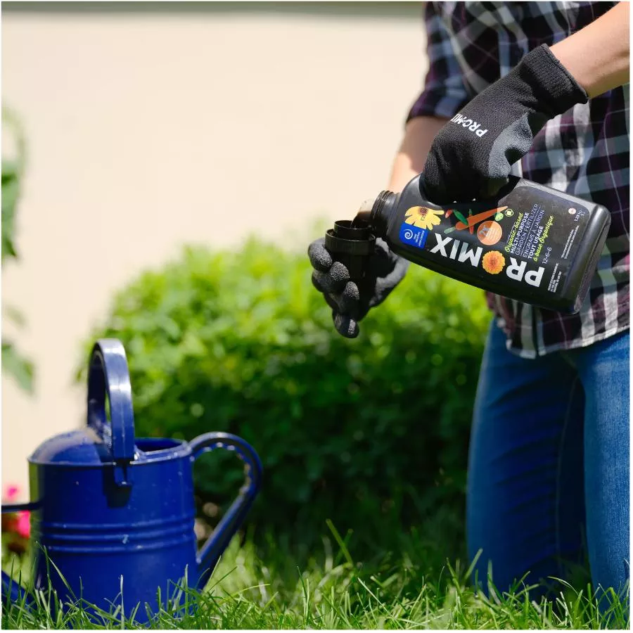Pro-mix 1L 12-6-6 Liquid Multi Purpose Fertilizer