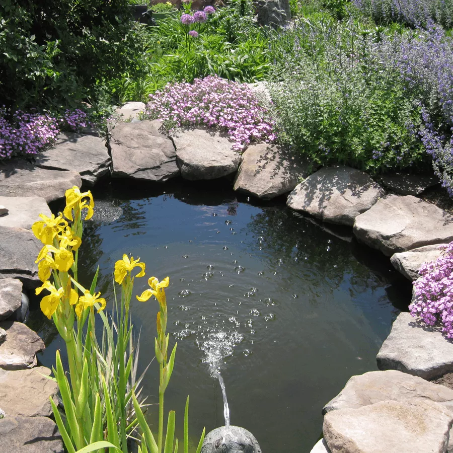 Algreen 150 Gal Chelsea Garden Pond
