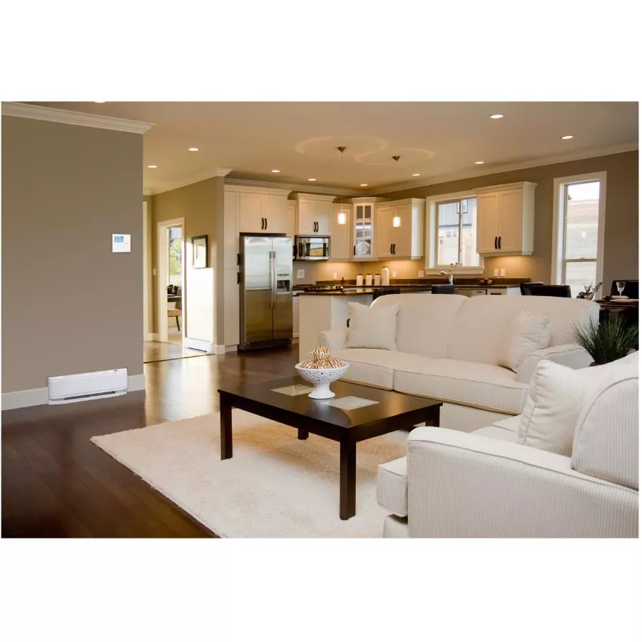 Dimplex Convection Baseboard Heater - with Thermostat, 240V, 500W