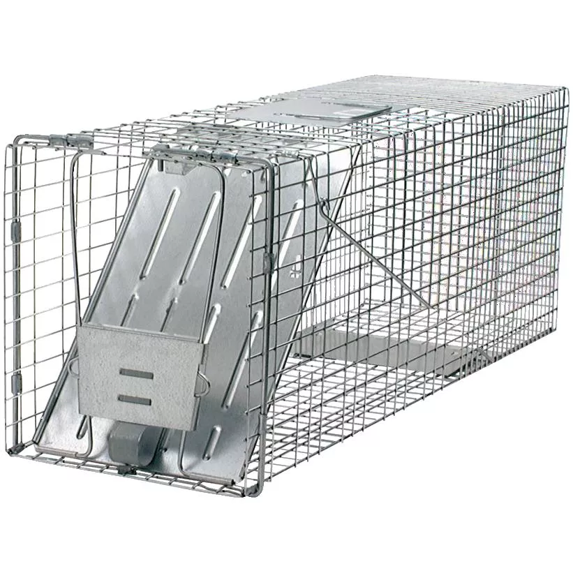 32" x 10" x 12" 1 Door Live Animal Trap